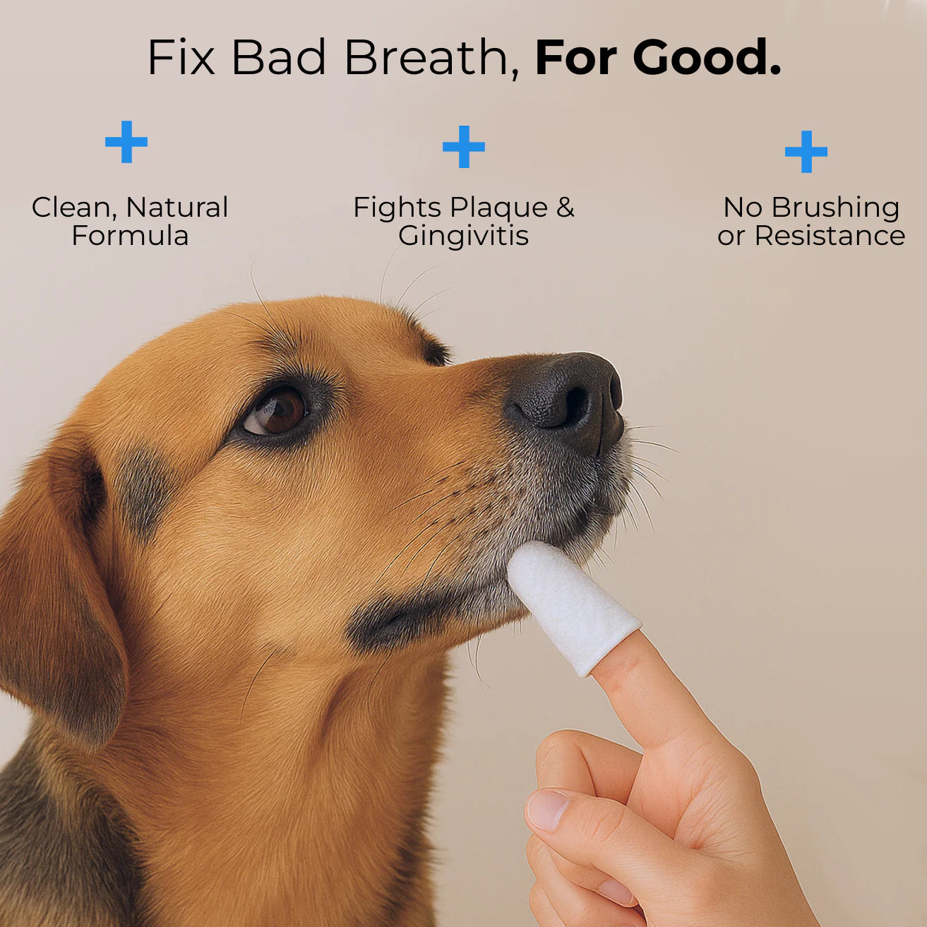PawPearl™ Dental Finger Wipes