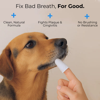 PawPearl™ Dental Finger Wipes